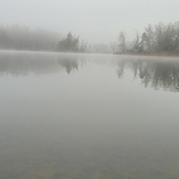 20241205_092639